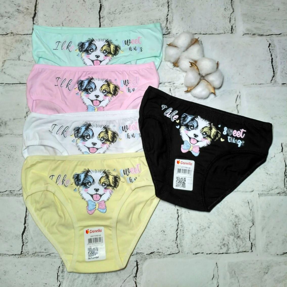 Трусы для девочки Donella Собачка от 2 до 3 лет 98-104 см 5 шт. (4171PB1480) Трусы для девочки Donella Собачка от 2 до 3 лет 98-104 см 5 шт. (4171PB1480)