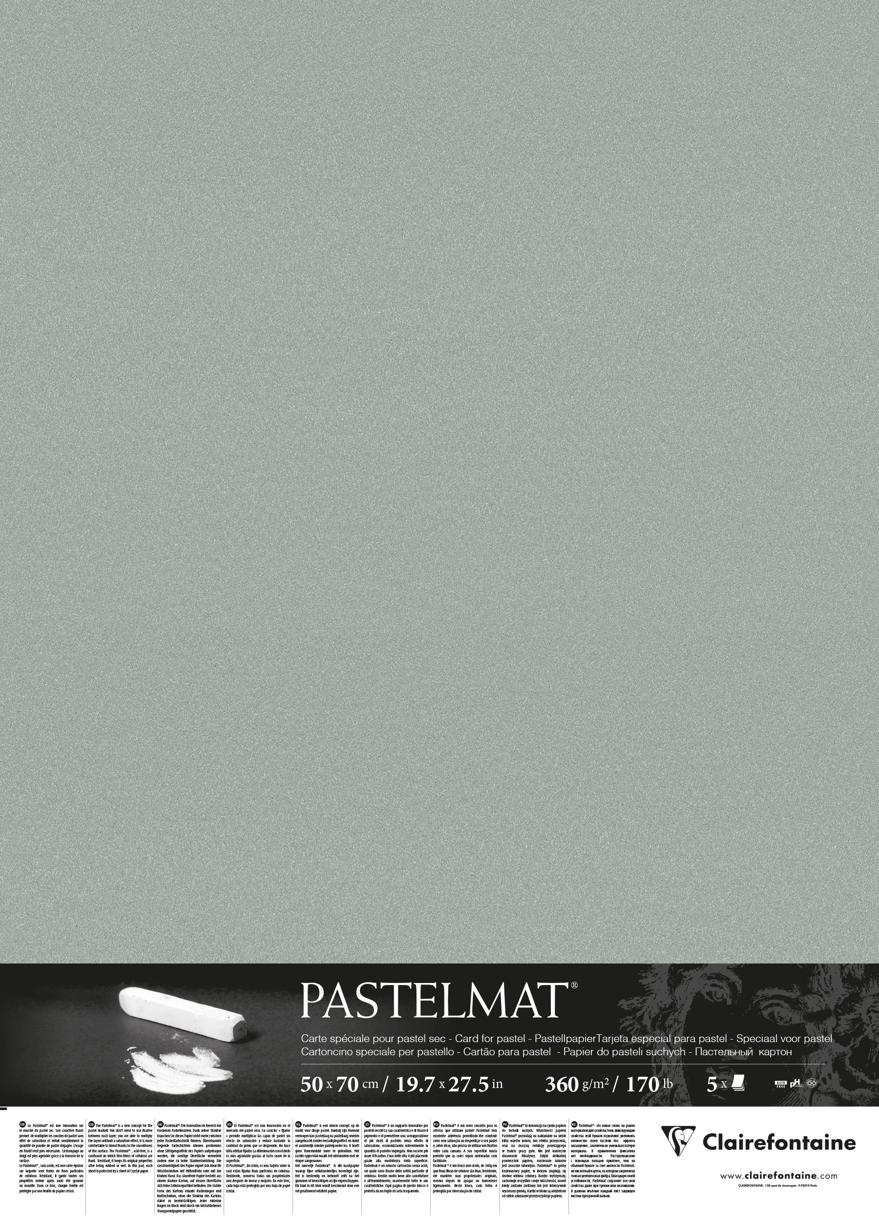 Аркуш Clairefontaine Pastelmat 5 шт. 50х70 см Light Green (96157C) - фото 2 Аркуш Clairefontaine Pastelmat 5 шт. 50х70 см Light Green (96157C) - фото 2