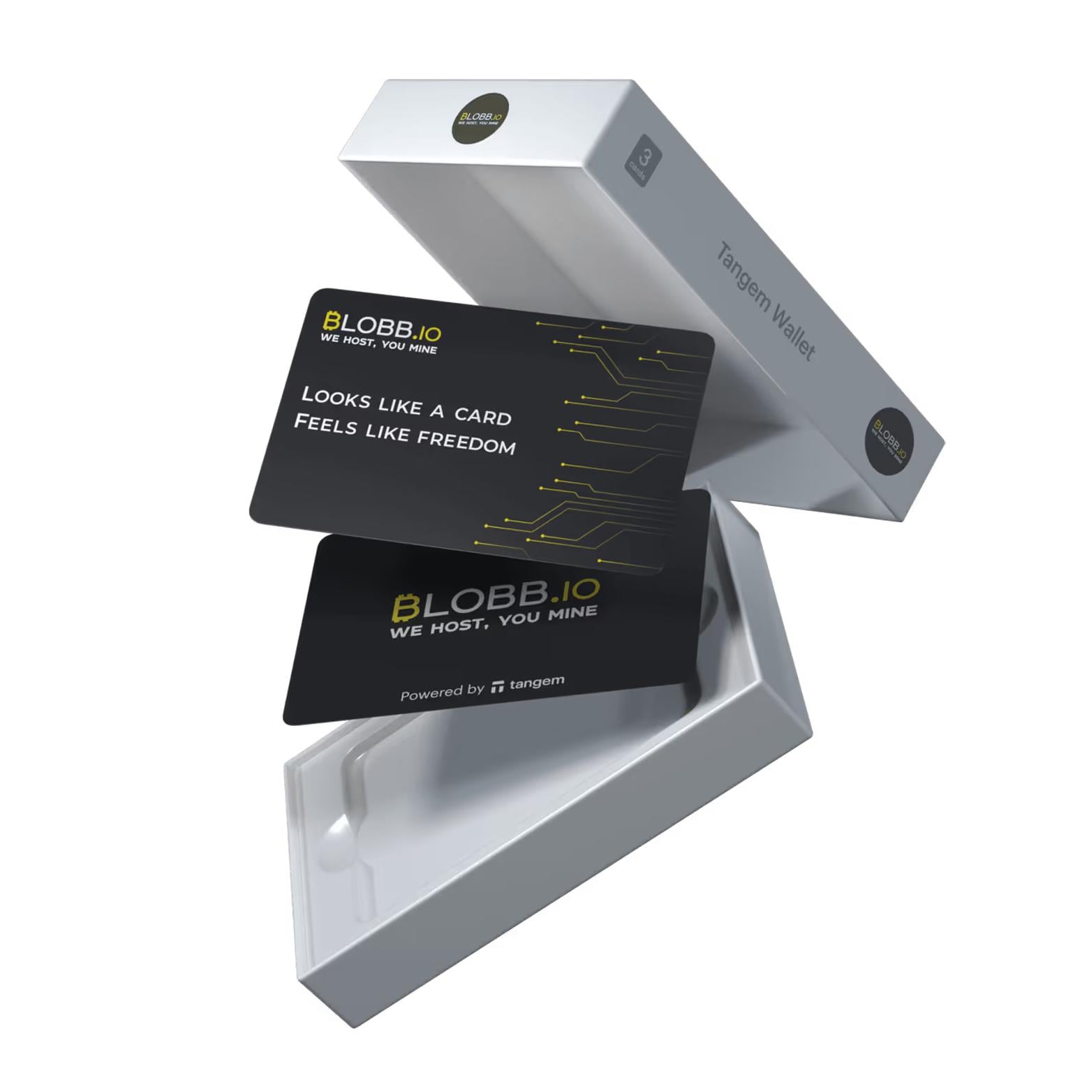 Набор карточек-кошельков для криптовалют Tangem Wallet 2.0 Blobb 2 шт. (TG-BLOB)