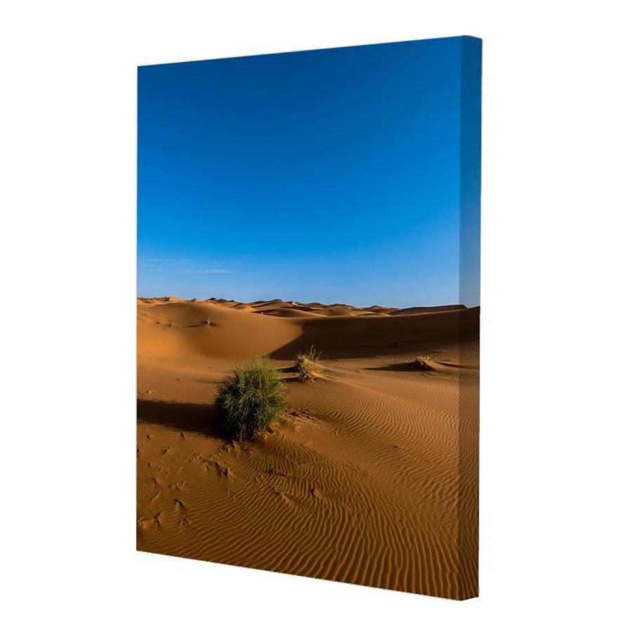 Постер Riviera Blanca Пустельний ритм 40x50 см (ПС50-229)