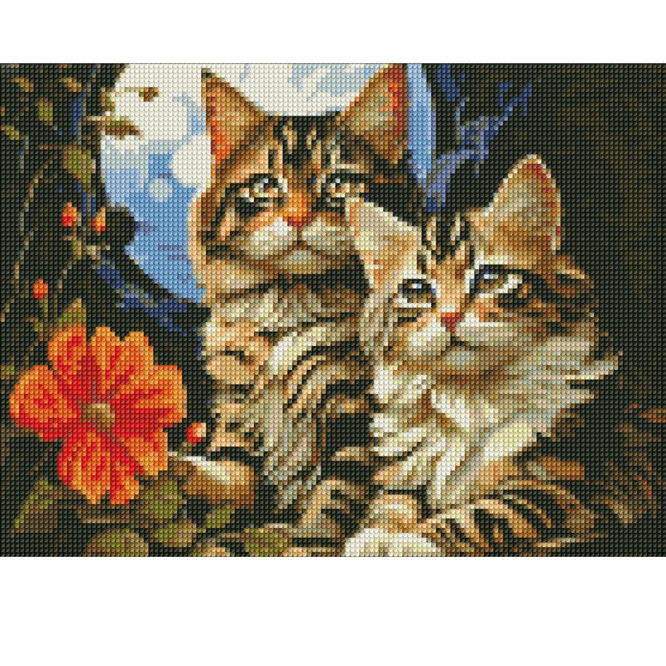 Алмазная мозаика Идейка Волшебные котики 30х40 см (AMO7853)