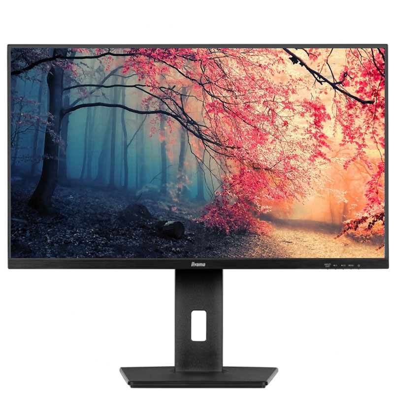 Монитор безрамочный iiyama XUB2793QS-B6 IPS 2560x1440 QHD 27" 4W (26832326)