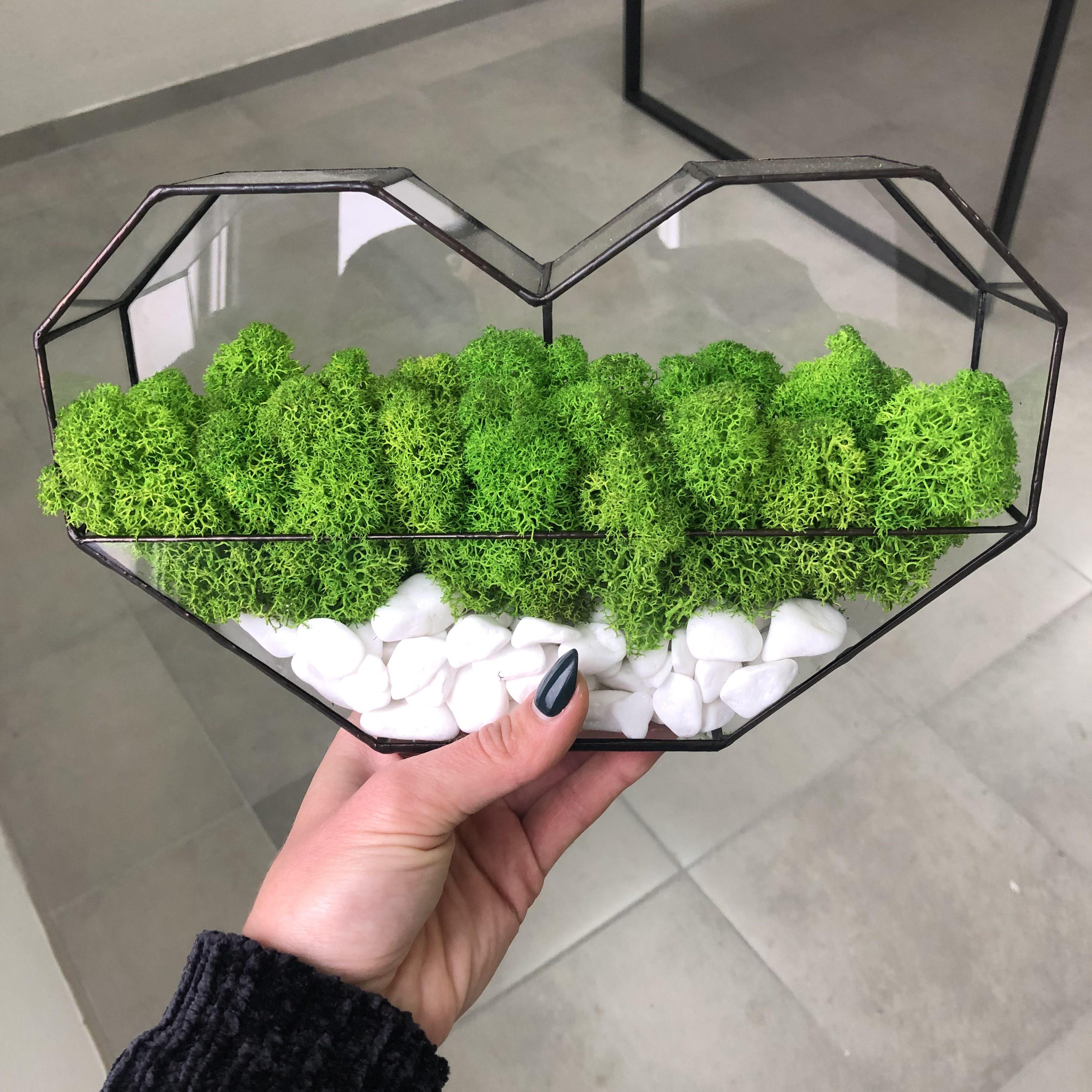 Мосариум MiNature Moss Сердце со стабилизированным мхом (5465389)