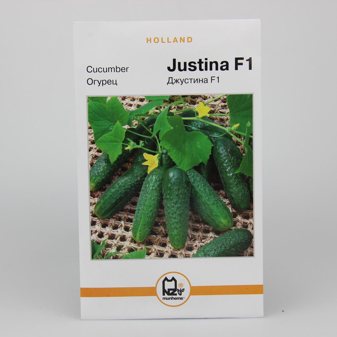 Семена огурца Джустина F1 Holland 3 г (27225)