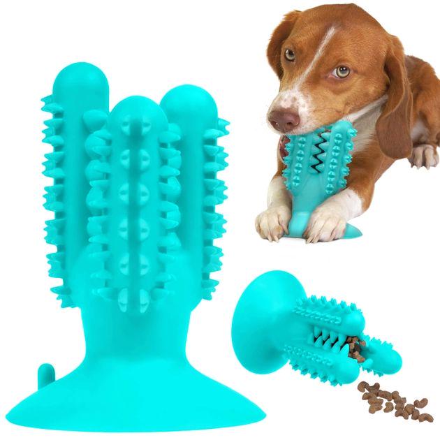 Игрушка для собак Bronzedog PetFun Dental кактус на присоске жевательная (KSA-863) - фото 2 Игрушка для собак Bronzedog PetFun Dental кактус на присоске жевательная (KSA-863) - фото 2