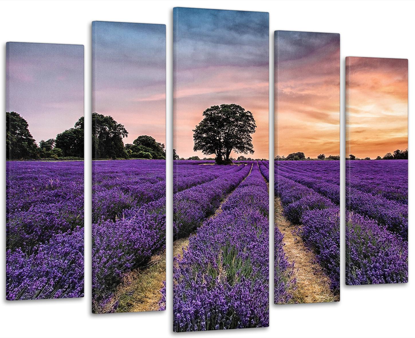 Картина модульная в гостиную/спальню Лавандовое поле на закате 105x150 cм (LM018_5)