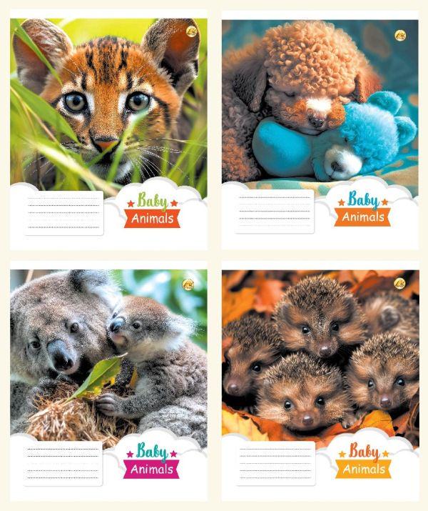 Зошити учнівські у косу лінійку 12 арк. 25 шт. в уп. ТЕ43107 (MTT-183905)