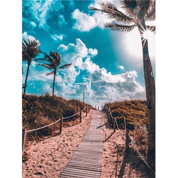 Алмазна вишивка мозаїка Diy Стежка до раю 30х40 см DP41940