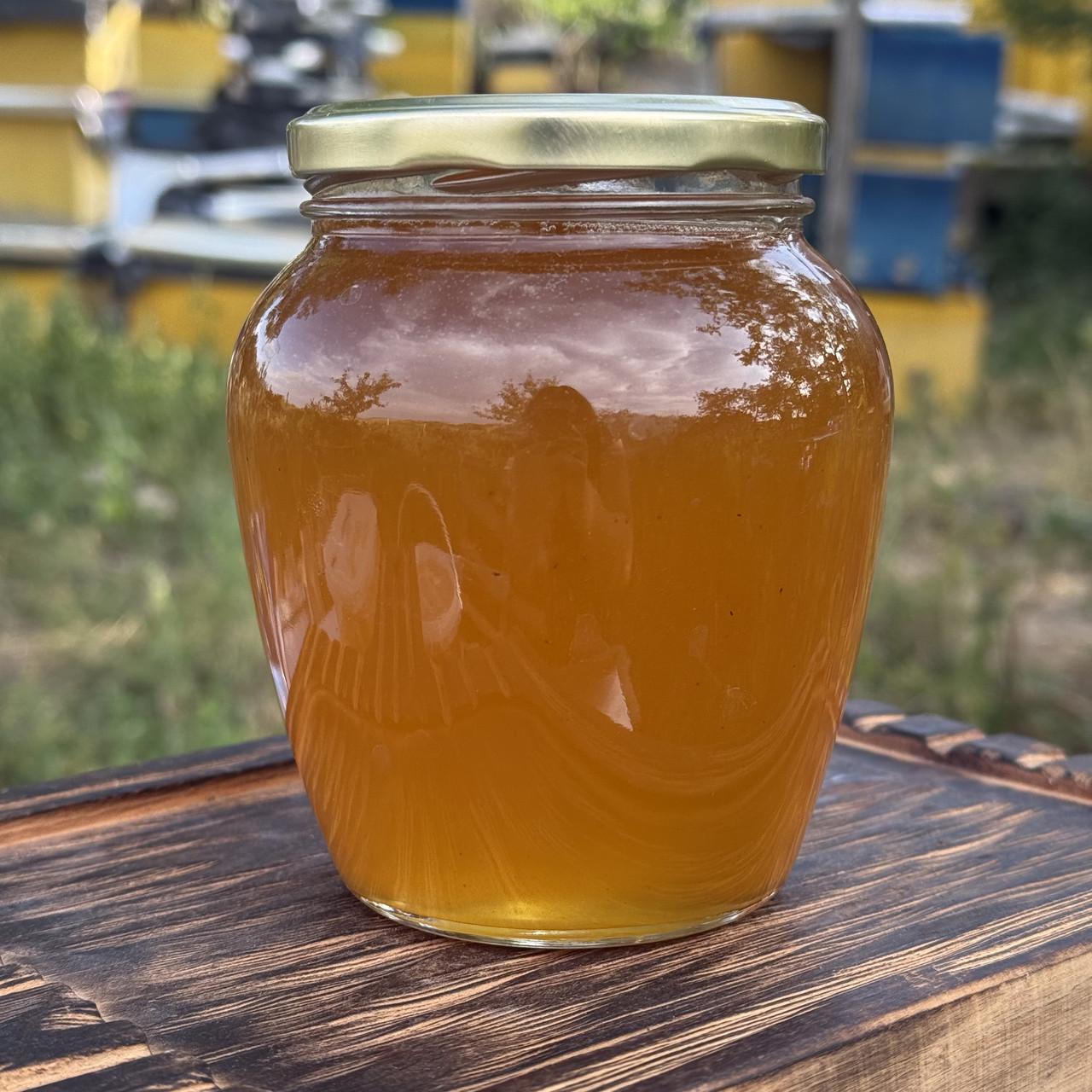 Мед Лесное разнотравье с Липой из кочевой пасеки 2025 г. 0,7 л/950 г (2690924155)