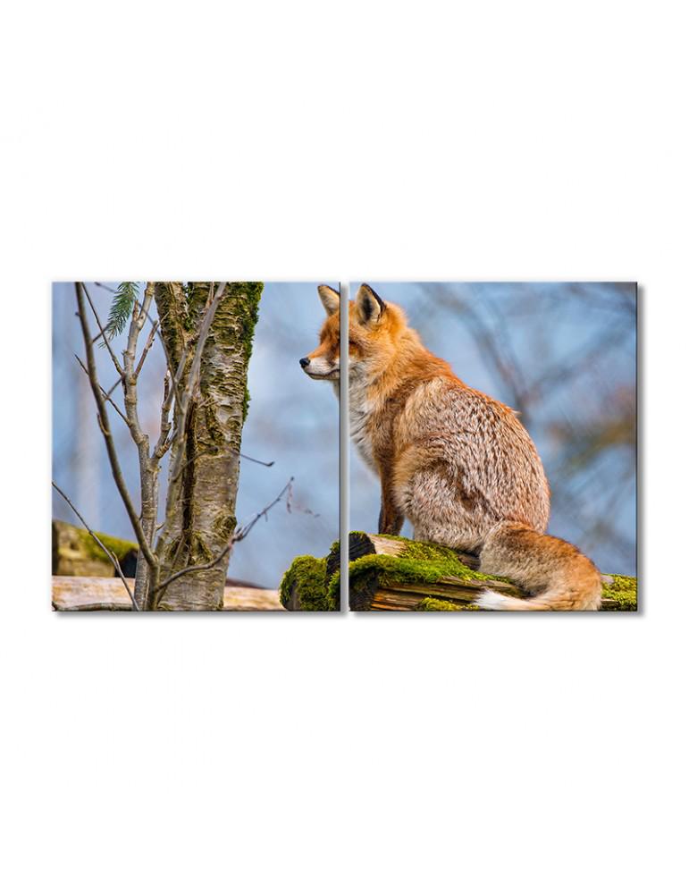 Картина модульная Пушистый лисенок ждет 2 модуля 70x105 см