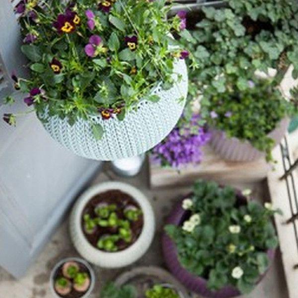 Вазон для рослин Keter Cozies S 3,2 л Коричневий - фото 4 Вазон для рослин Keter Cozies S 3,2 л Коричневий - фото 4