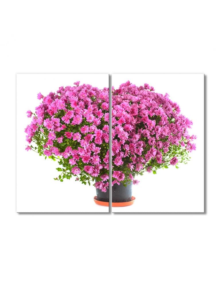 Картина модульная Сердце из розовых хризантем 2 модуля 60x90 см