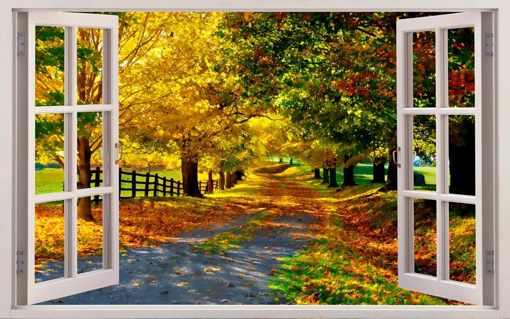 Фотообои WS Wallpaper Окно с видом на осенний парк 150x100 см (180720184)
