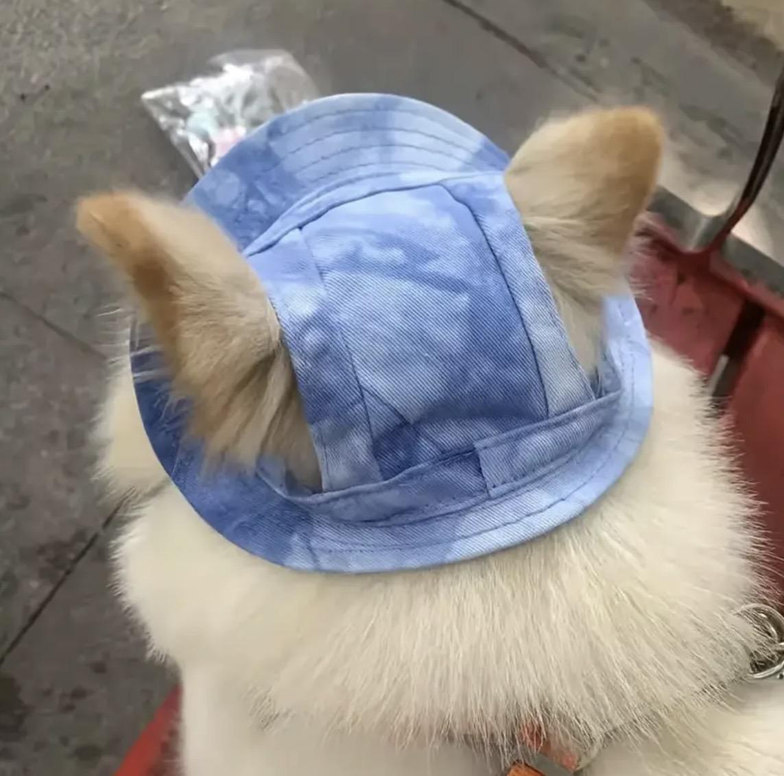 Панама для животных Ommy S Light blue (756756) - фото 5 Панама для животных Ommy S Light blue (756756) - фото 5