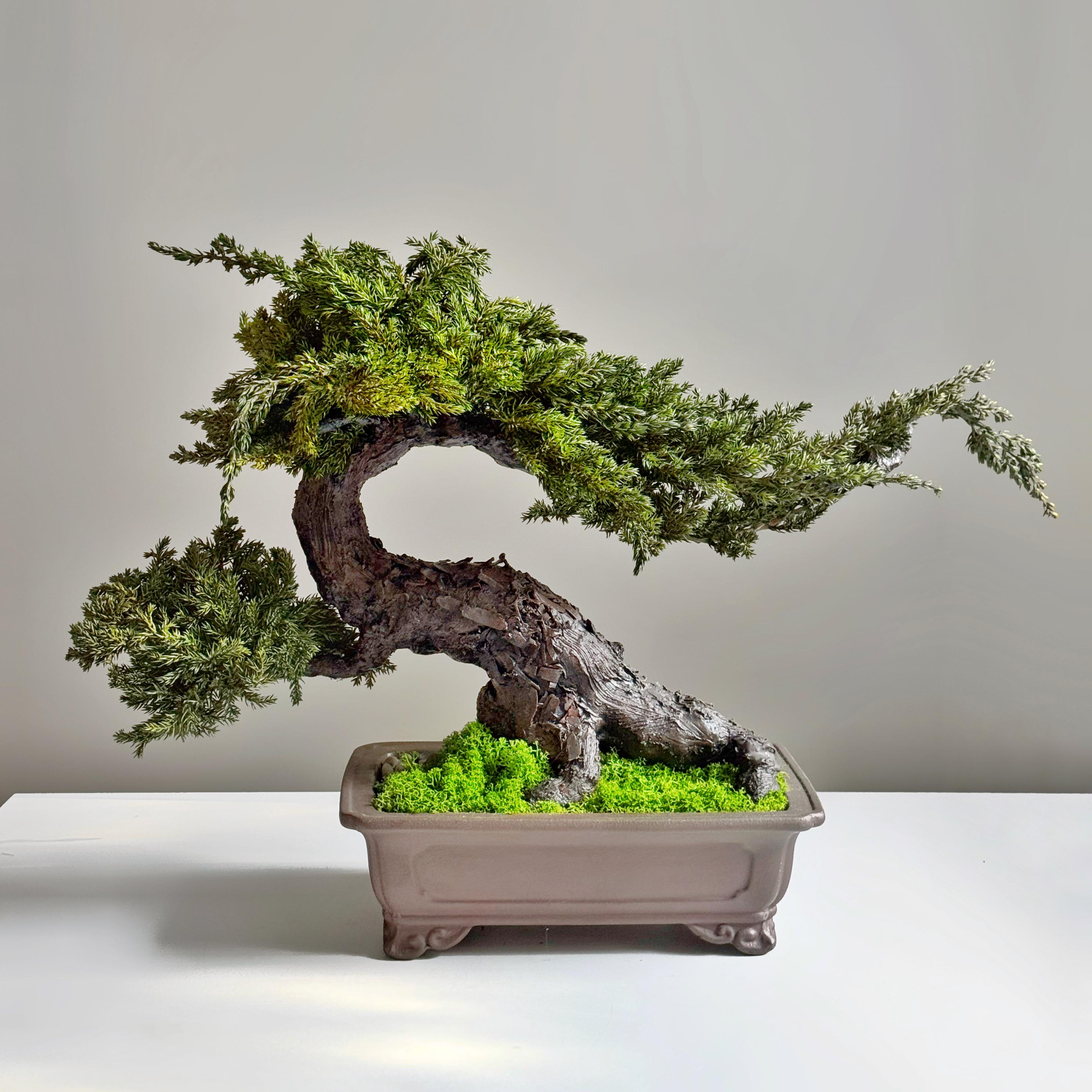 Бонсай зі стабілізованих рослин 35х55 см