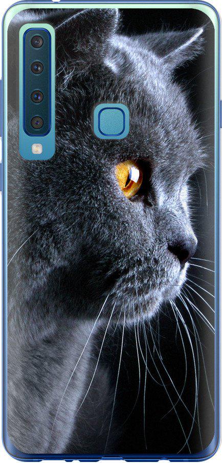 Чехол на Samsung Galaxy A9 (2018) Красивый кот (3038u-1503-42517)