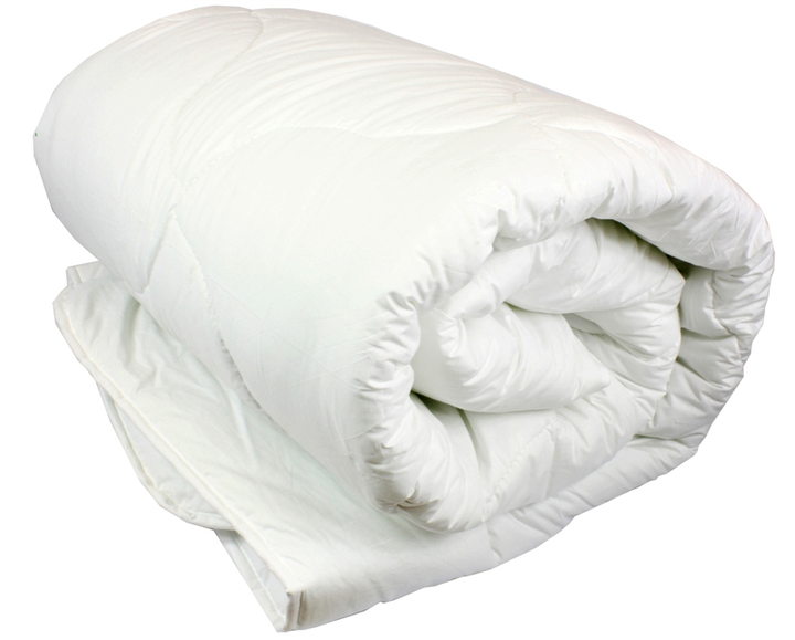 Одеяло полуторное ТЕП FRIENDLY ALASKA 1-00150_33774 150х205 см Молочный (8-6-4823983)