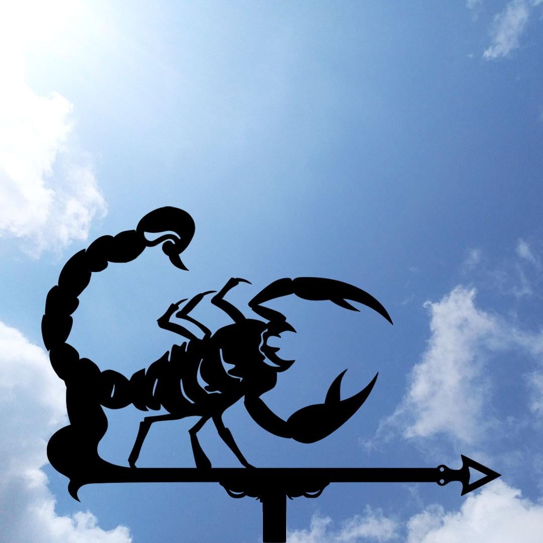 Флюгер на дом Знаки зодиака Скорпион (27642224)