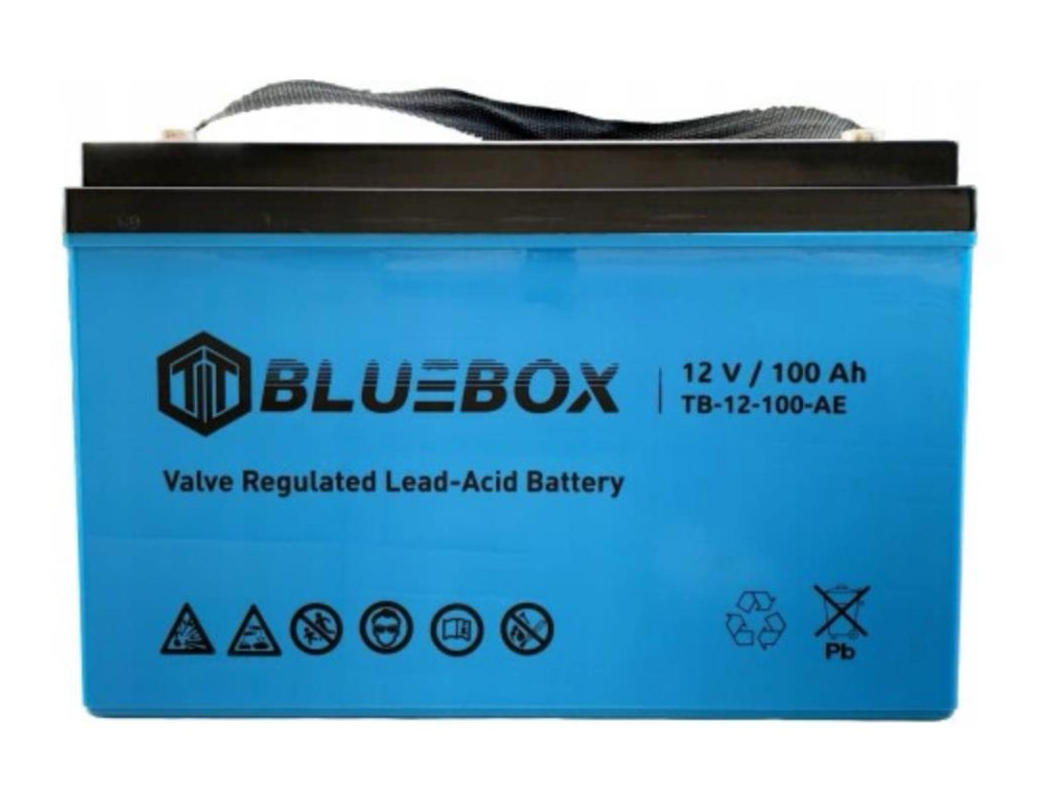 Аккумулятор Bluebox TB-12-100 -AE AGM 100 Аг 12 В