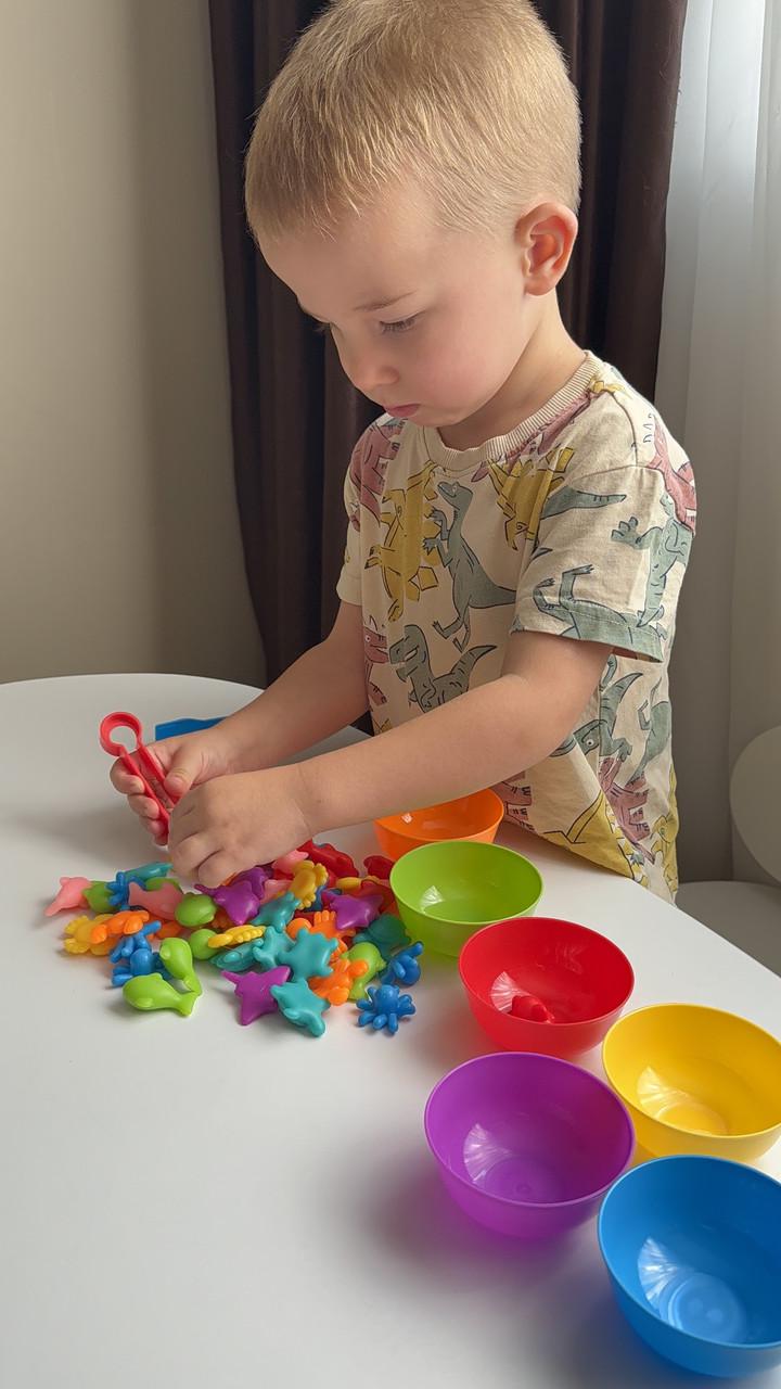 Набір для сортування 56 деталей з мисочками і пінцетом (28) - фото 2 Набір для сортування 56 деталей з мисочками і пінцетом (28) - фото 2