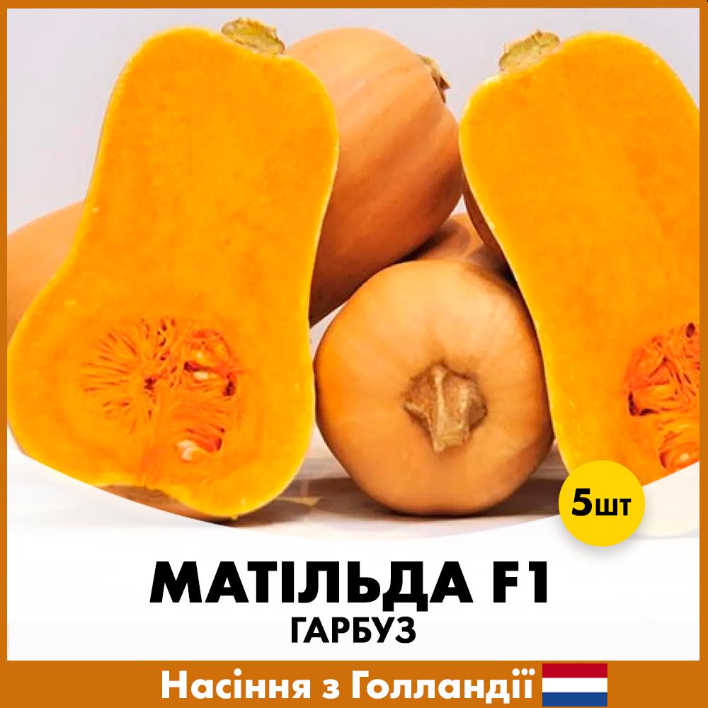 Семена тыквы Enza Zaden Матильда F1 5 шт. (R30325)