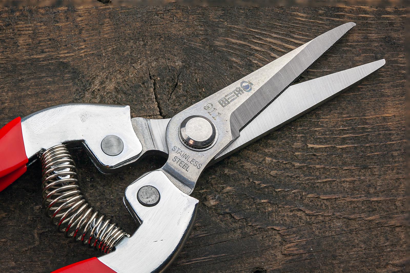 Ножиці садові Sagawata з нержавіючої сталі 187 мм (911) - фото 7 Ножиці садові Sagawata з нержавіючої сталі 187 мм (911) - фото 7