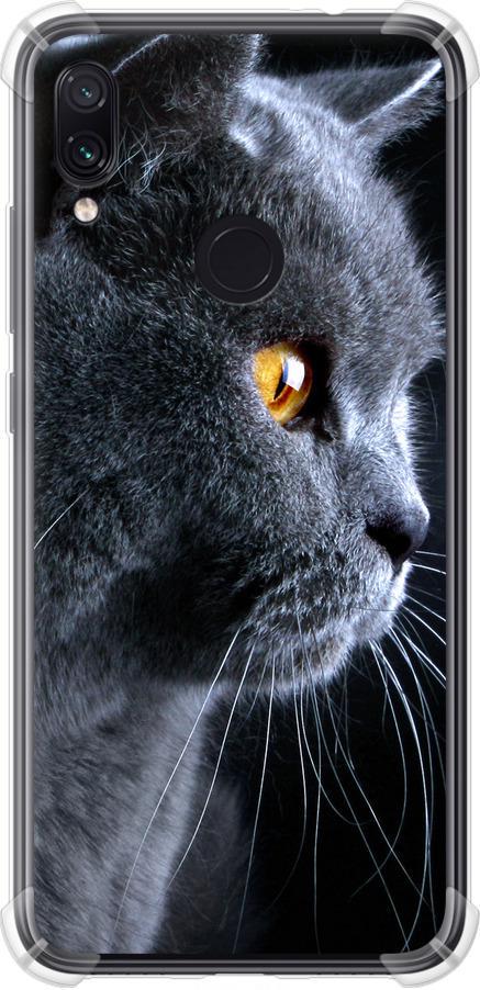 Чехол на Xiaomi Redmi Note 7 Красивый кот (3038sp-1639-42517)