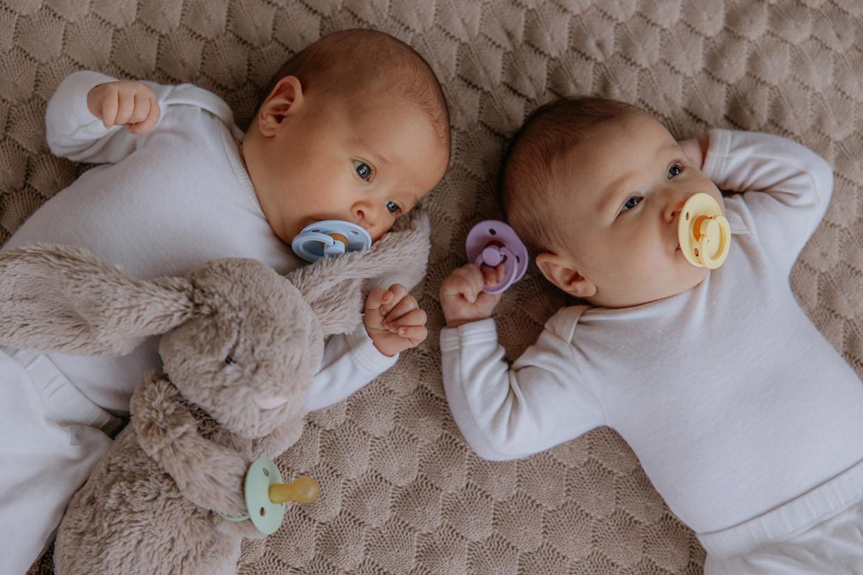 Пустышка Bibs Colour Latex Anatomical Mauve от 6 мес. - фото 6 Пустышка Bibs Colour Latex Anatomical Mauve от 6 мес. - фото 6