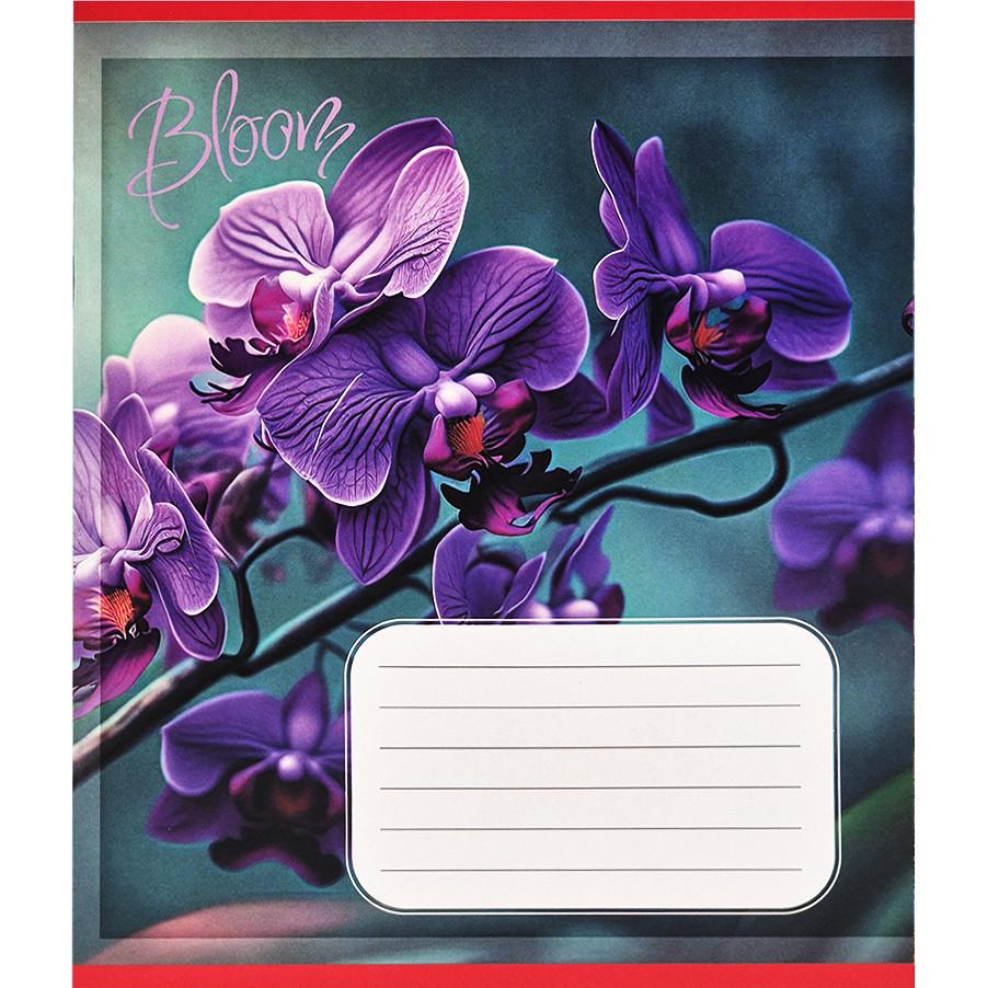 Шкільний зошит Орхідеї 018-530261K-4 в клітинку 18 аркушів (RLT55225)