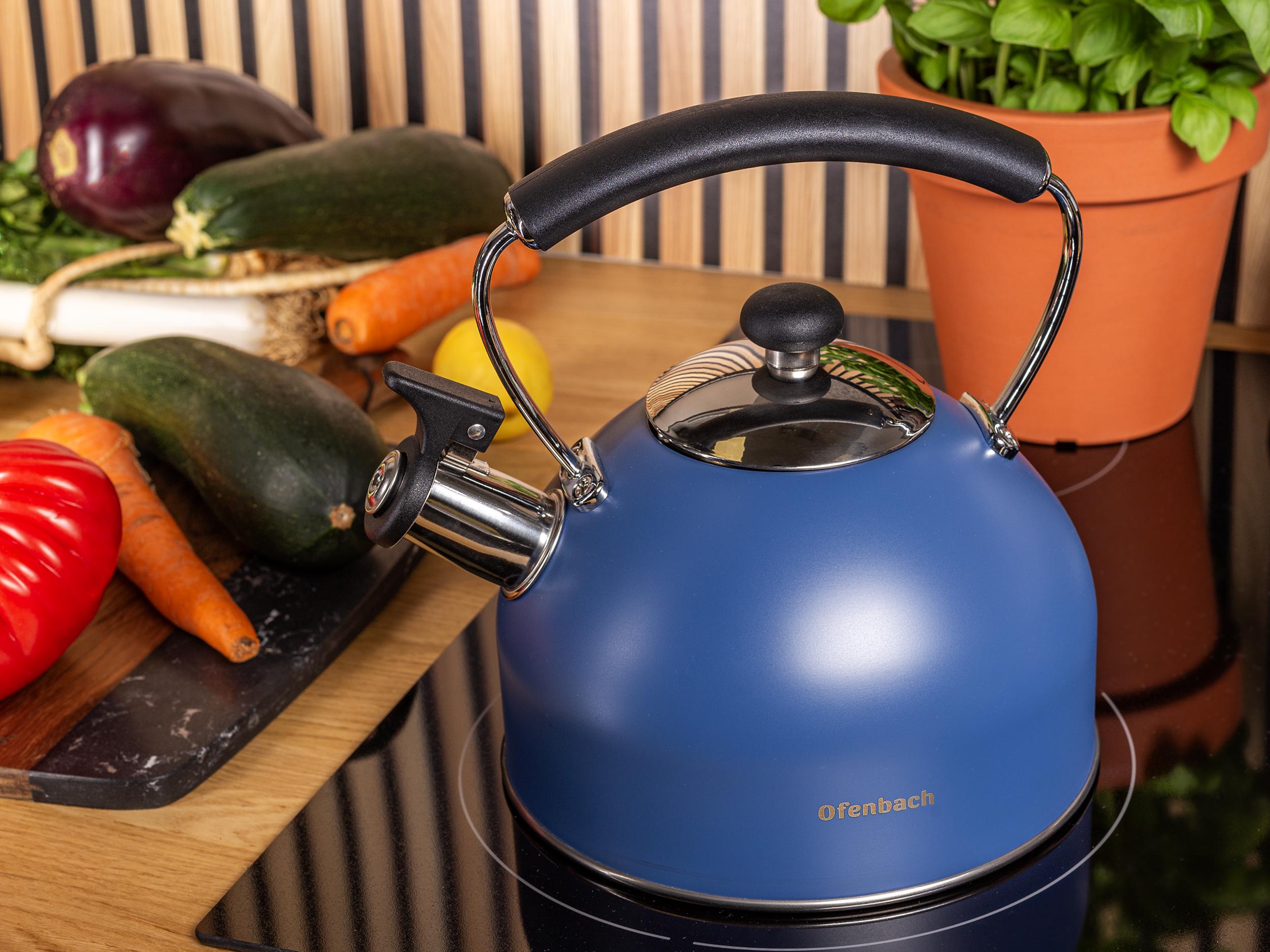 Чайник зі свистком та нейлоновою ручкою Ofenbach KM-100327 із нержавіючої сталі 2,2 л Синій (150-84-100327) - фото 8