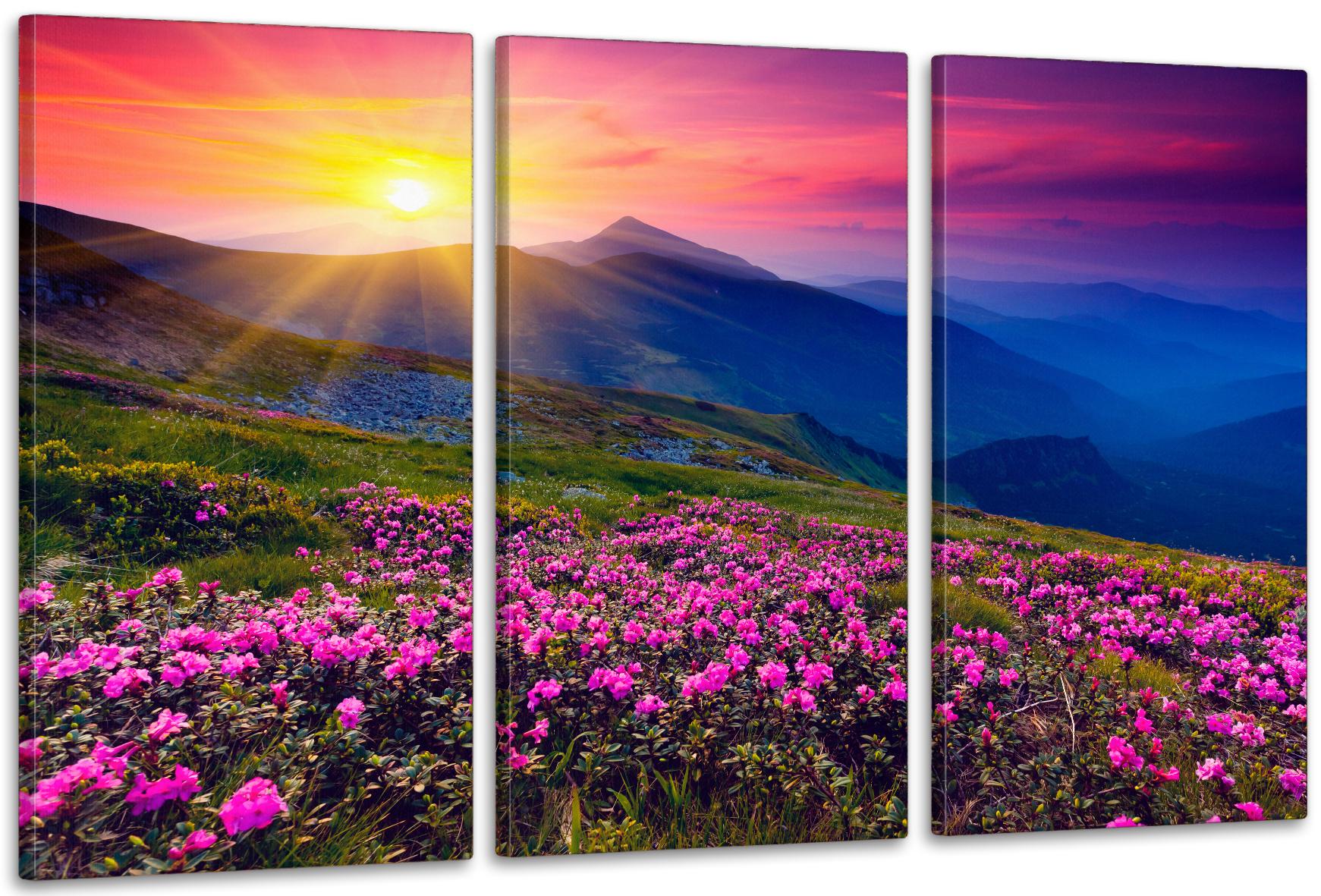 Картина модульная в гостиную/спальню Горный закат 100х150 см (ART-289_3A)