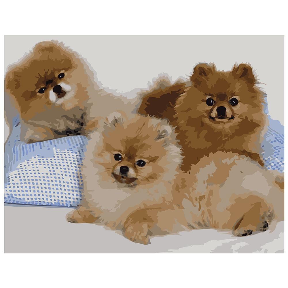 Картина по номерам Strateg Три шпица 40x50 см (VA-0513)