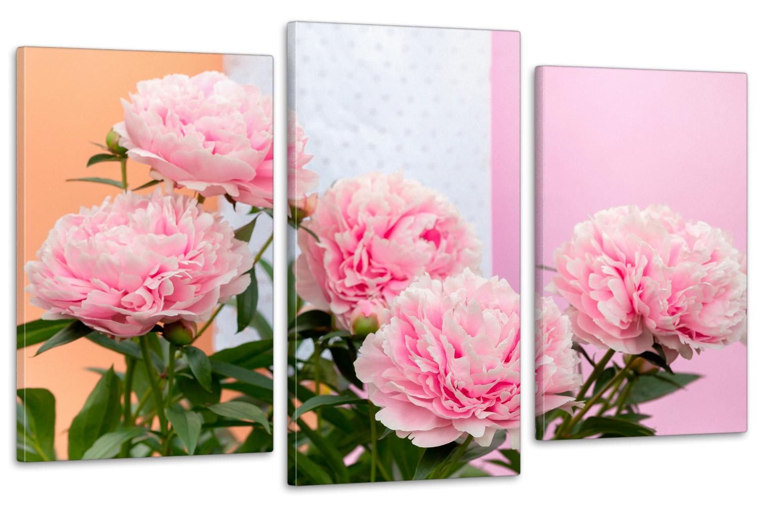 Картина модульная в гостиную/спальню Пиона 53х100 см (Art-664_3)