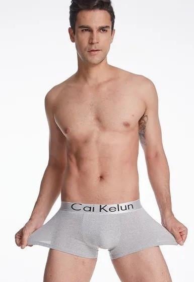 Трусы боксеры мужские Cai Kelun XXL Серый (10000073)