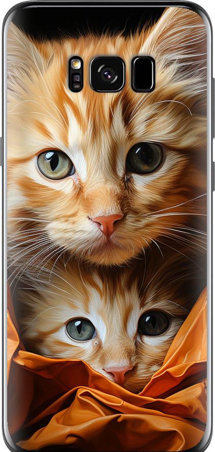 Чехол на Samsung Galaxy S8 Котики 2 (5664t-829-42517)