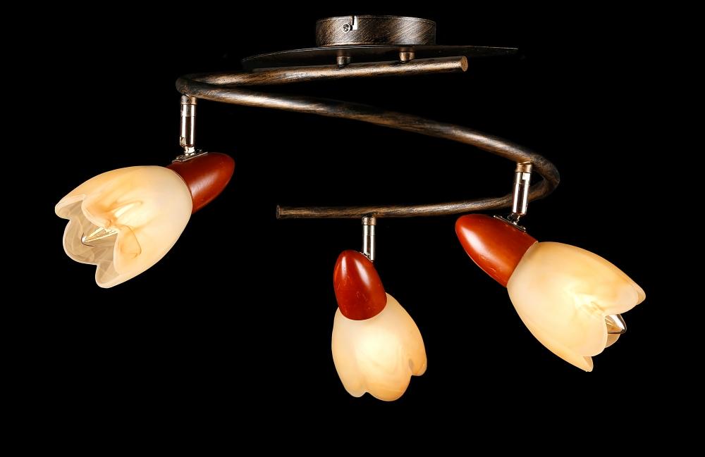 Люстра с плафонами Ray L99031B/3A (IR005571)