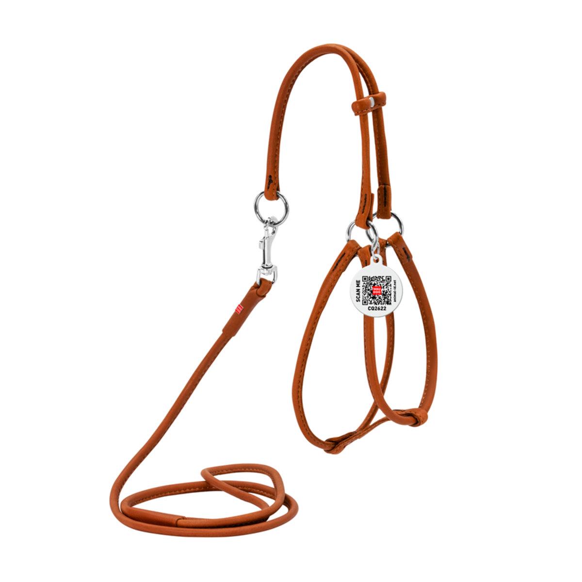 Шлея для собак Waudog Soft Круглая с поводком кожаная 6 мм 42-60/46-64 см Коричневый