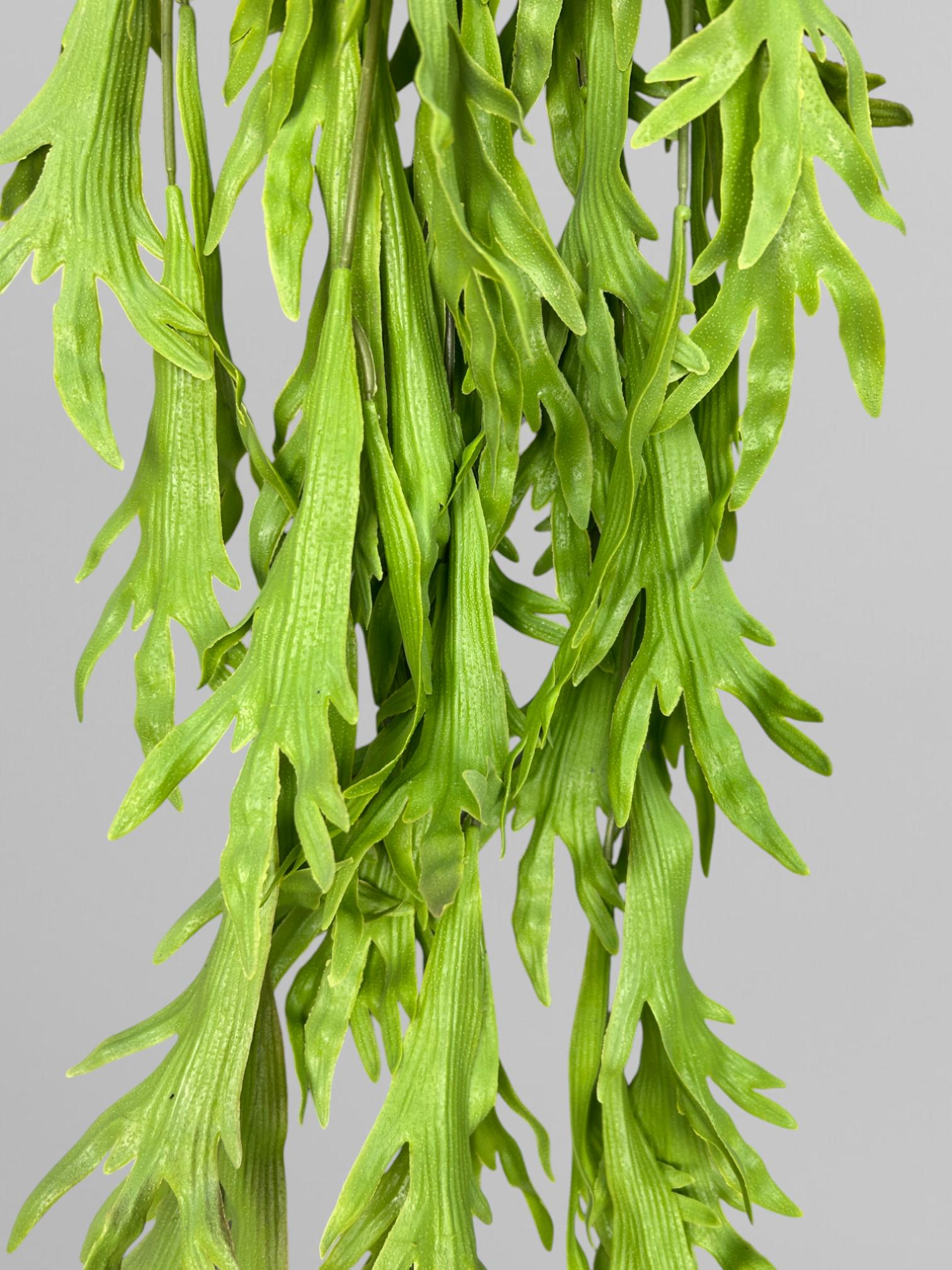 Искусственный папоротник платицериум 110 см Светло-зеленый (Р01039) - фото 5 Искусственный папоротник платицериум 110 см Светло-зеленый (Р01039) - фото 5