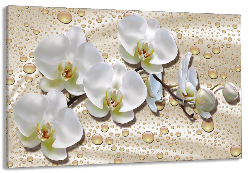 Картина на холсте в гостиную/спальню Орхидея 30х60 см (MLP_325)