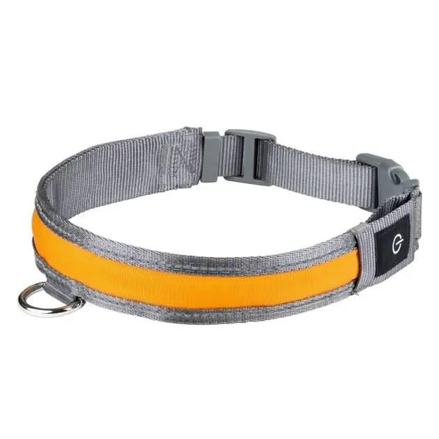 Нашийник для собак світлодіодний LED Light-Up Dog Collar USB-C зарядка S 36-40 см (200451)