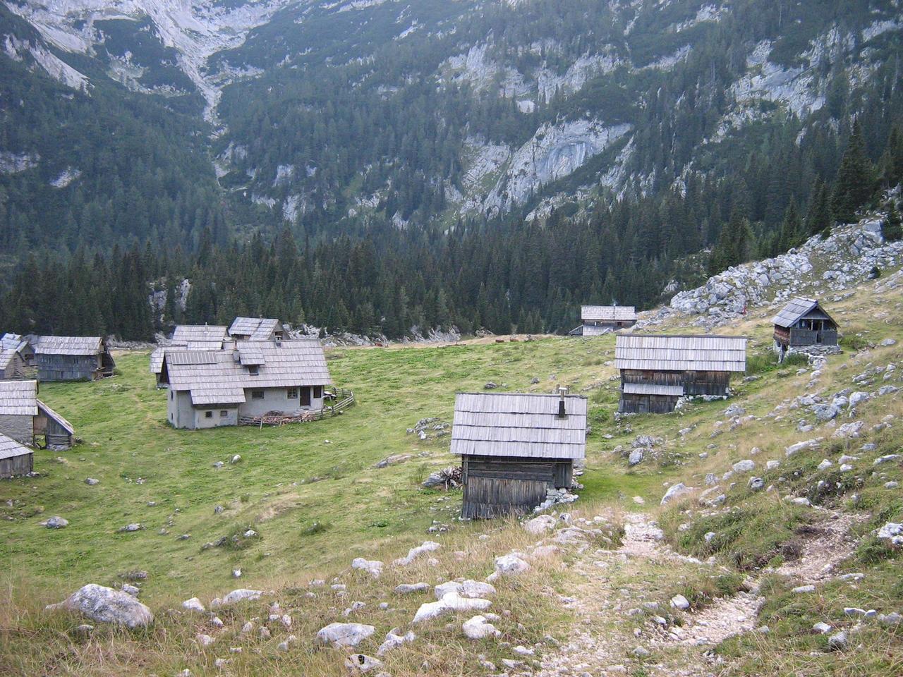 Картина на холсте Природа 35x55 см (PR161)