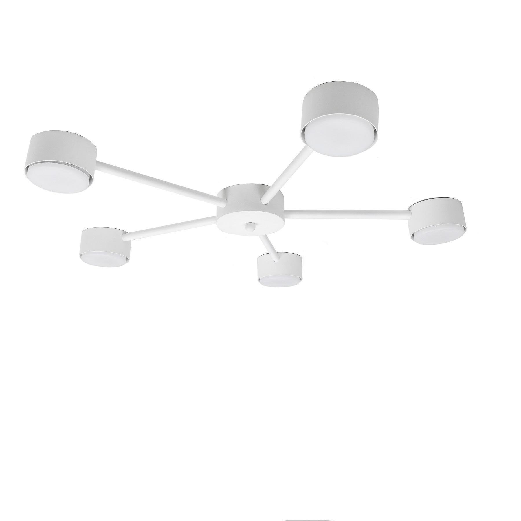 Потолочный светильник Dots GX53 C5-325 White (7041312)