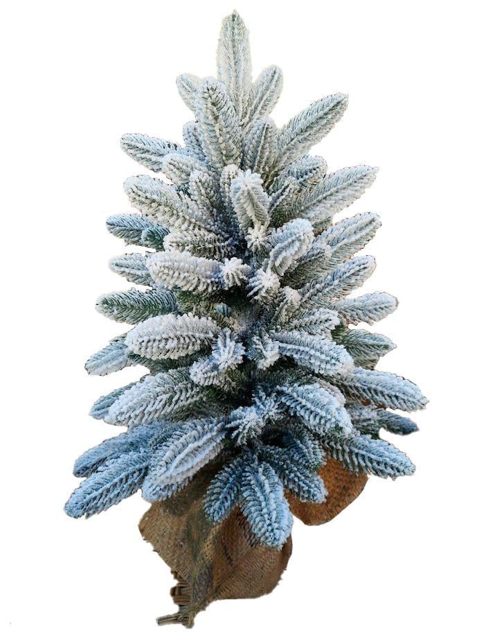 Искусственная елка офисная Премиум заснеженная литая на деревянной подставке 60 см Темно-зеленый (147-41-Премиум-0,60 заснеж) Искусственная елка офисная Премиум заснеженная литая на деревянной подставке 60 см Темно-зеленый (147-41-Премиум-0,60 заснеж)