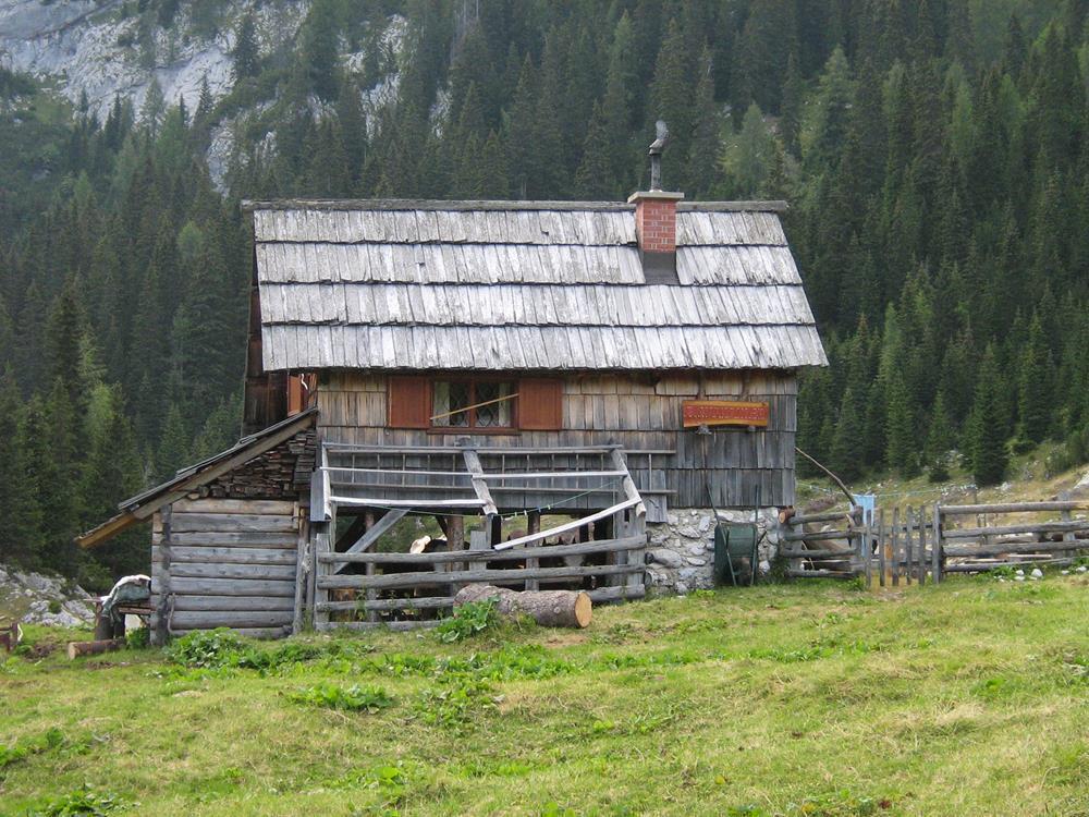 Картина на холсте Природа 50х70 см (N290)