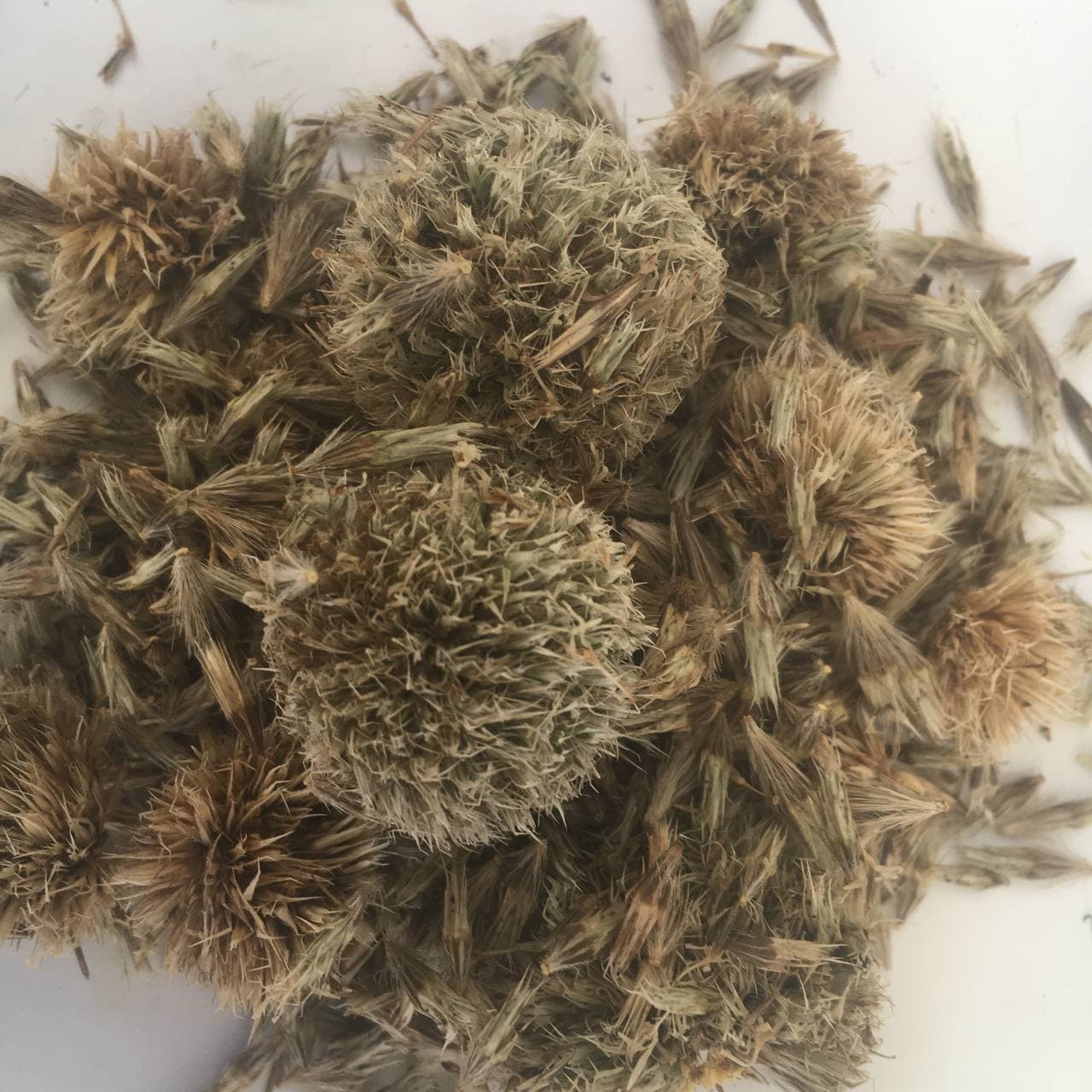 Мордовник обыкновенный Карпаты 50 г (61aa0cbf0c9bb064437ddc93)