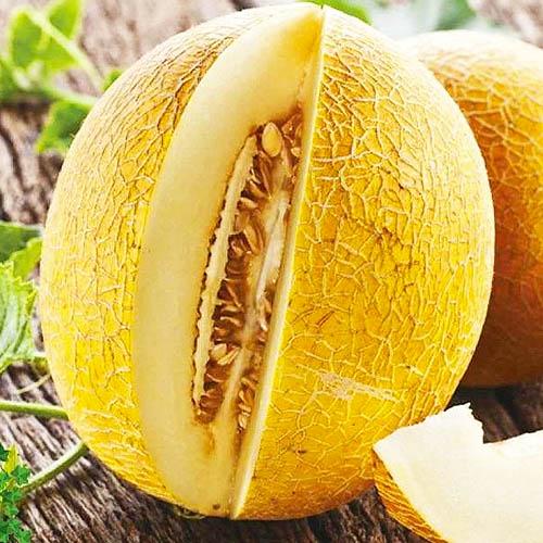 Насіння Диня Florium Титівка (14087)