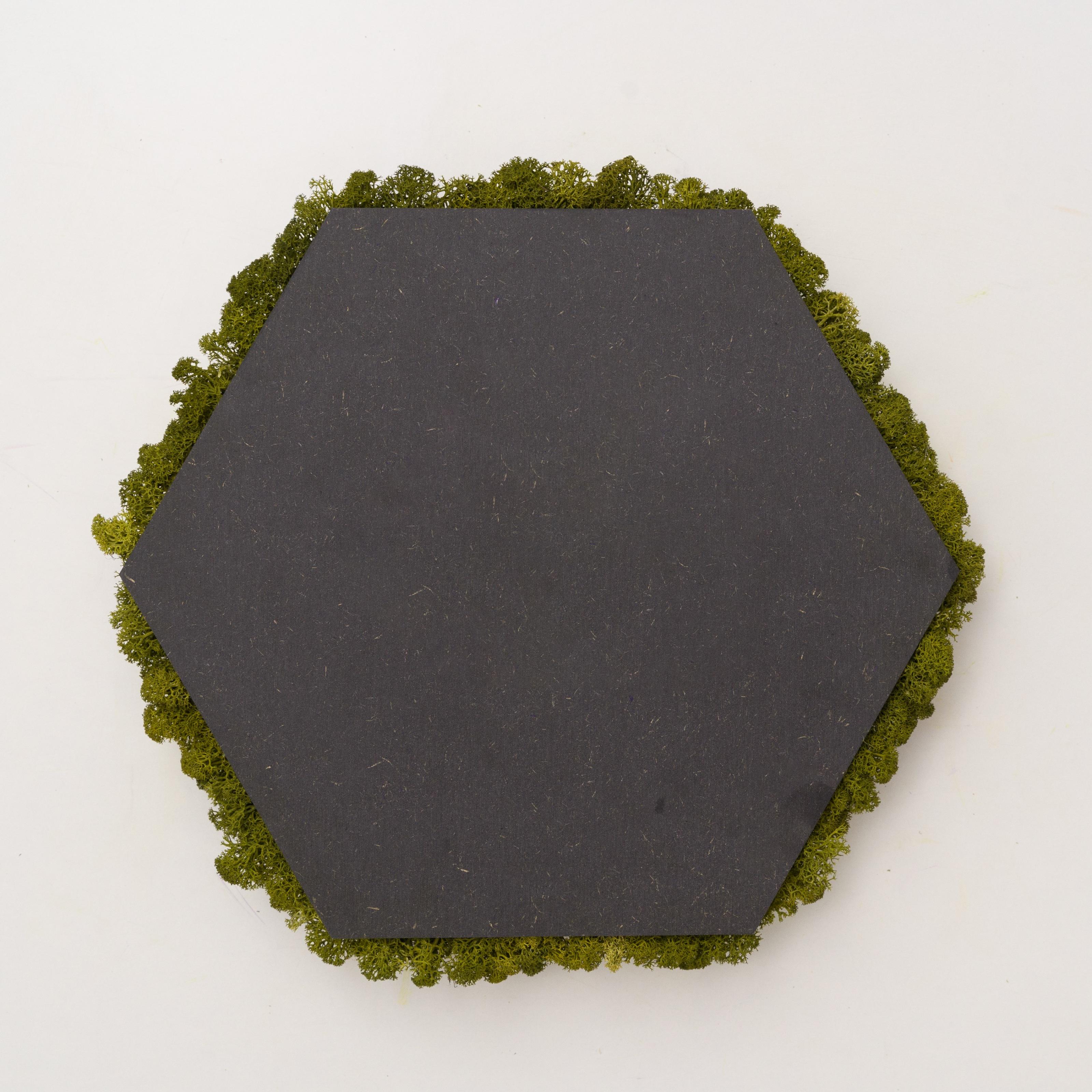 Декоративное панно из мха Organic Design шестиугольная панель 33 см Medium Green (702-03) - фото 4 Декоративное панно из мха Organic Design шестиугольная панель 33 см Medium Green (702-03) - фото 4