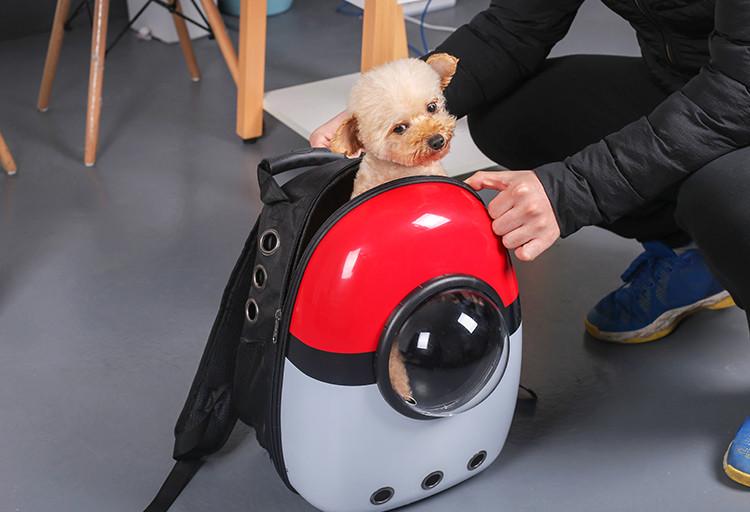 Рюкзак для переноски домашних питомцев CosmoPet CP-87 с иллюминатором 42х31х20 см Pokemon (3_06372) - фото 6 Рюкзак для переноски домашних питомцев CosmoPet CP-87 с иллюминатором 42х31х20 см Pokemon (3_06372) - фото 6