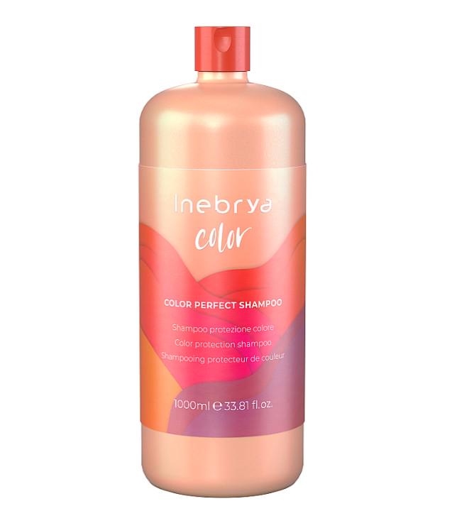 Шампунь для окрашенных волос Inebrya Pro-Color Perfect Shampoo 1000 мл (1165008945)