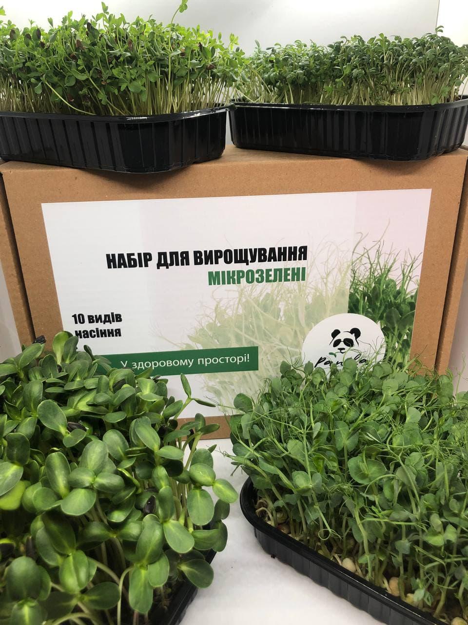 Набір для вирощування мікрозелені топ 10 видів культур Panda microgreen на 14 врожаїв